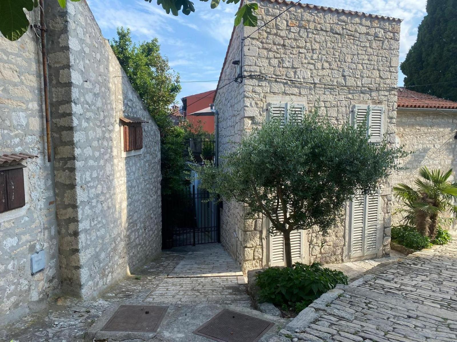 Vila Seaview House Rosali Rovinj Exteriér fotografie